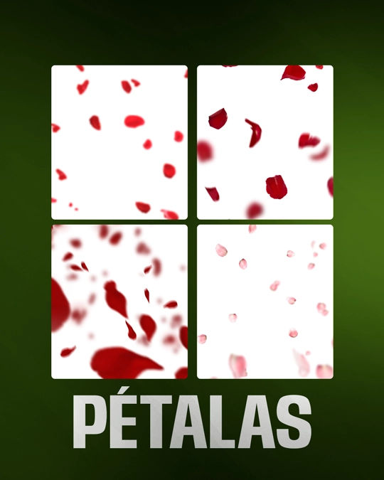 Imagens-PÉTALAS